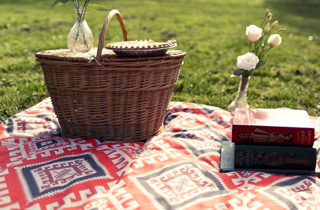 Best Picnic Blankets to Use Through Spring and Summer  