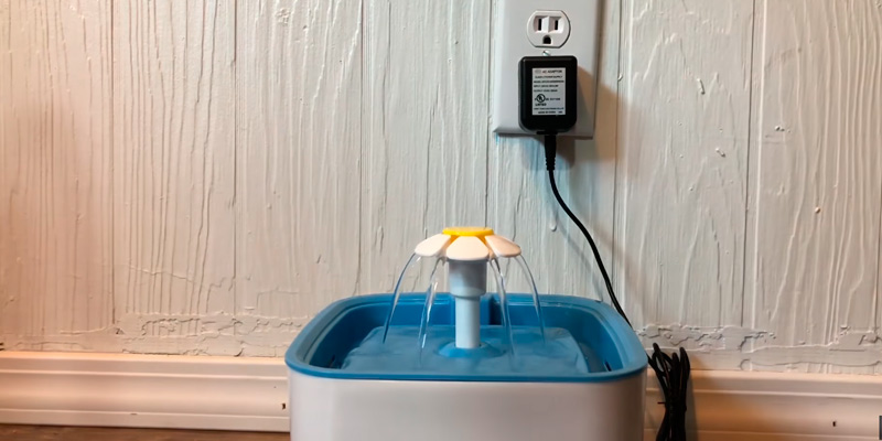 Veken 84oz/2.5L Automatic Pet Water Fountain in the use - Bestadvisor