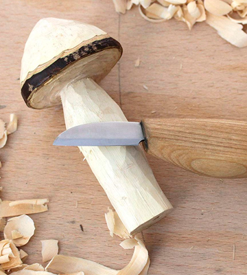 BeaverCraft BC C2 Cutting knife for fine chip carving wood and general purpose wood carving knife - Bestadvisor
