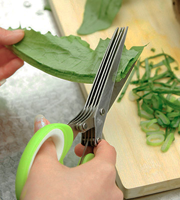 Chuzy Chef 5 Blade Gadget Scissor Shear with Cleaning Brush - Bestadvisor