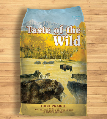 Taste of the Wild High Protein Premium Dry Dog Food - Bestadvisor