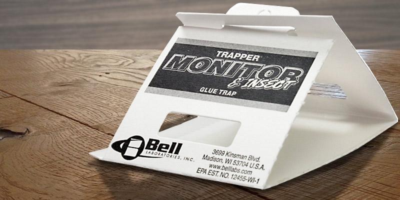 Review of Bell Trapper Insect Trap Great for Bed Bugs
