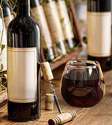 Royal Stemless Wine Glass Set - Bestadvisor