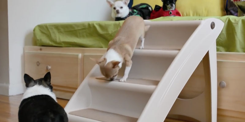 Detailed review of Solvit Pup Step Plus Pet Stairs - Bestadvisor