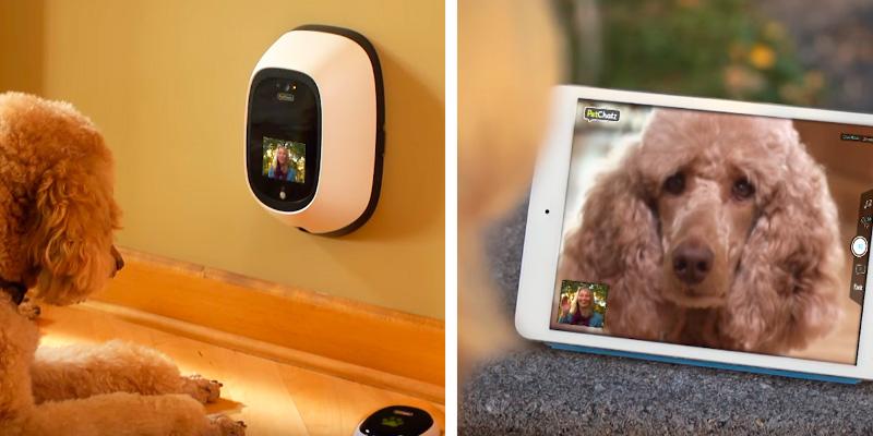 Review of PetChatz HD 2-Way Pet Cam with Calming Scent