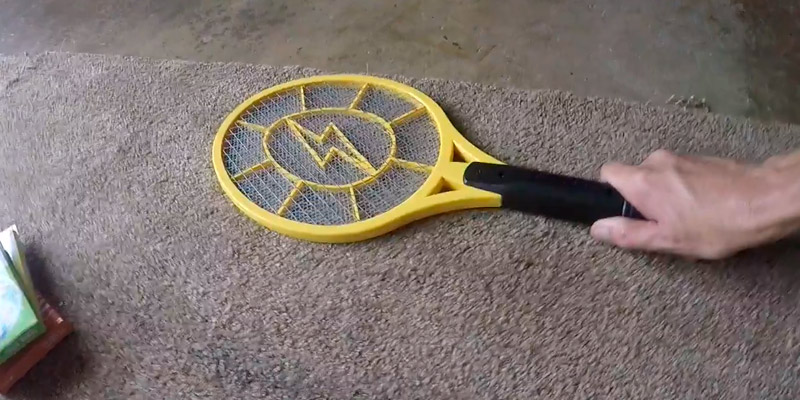 Review of Beastron BBZ-01 Electric Fly Swatter