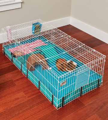 MidWest Homes for Pets Guinea Pig Cage - Bestadvisor