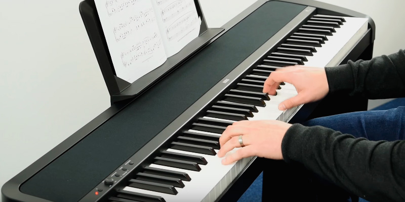 Korg B1SP Digital Piano in the use - Bestadvisor