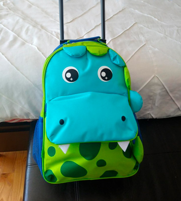 Review of Yodo Shark Backpack with Wheels