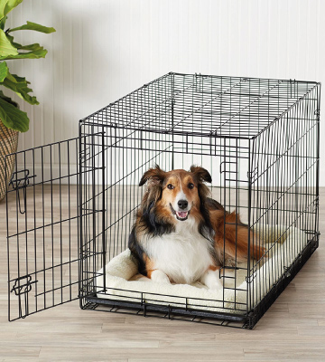 AmazonBasics Folding Metal Dog or Pet Crate Kennel with Tray - Bestadvisor