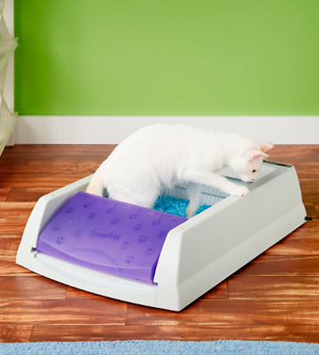 PetSafe ScoopFree Self-Cleaning Cat Litter Box Tray Refills - Bestadvisor