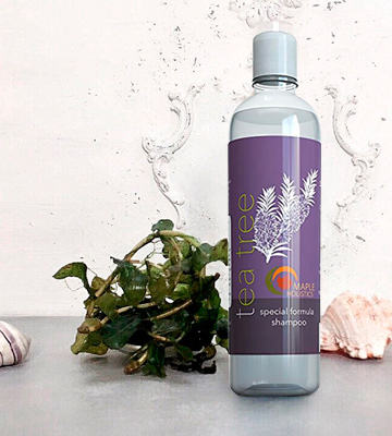 Maple Holistics Tea Tree Oil Shampoo Anti-Dandruff & Anti-Bacterial - Bestadvisor