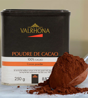 Valrhona 100% Pure Cocoa Powder - Bestadvisor