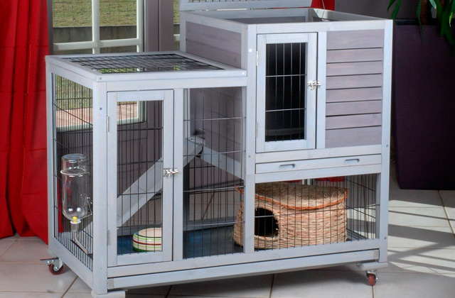 Comparison of Indoor Rabbit Cages