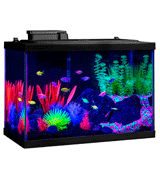 GloFish NV33823 20 Gallon Aquarium Kit Fish