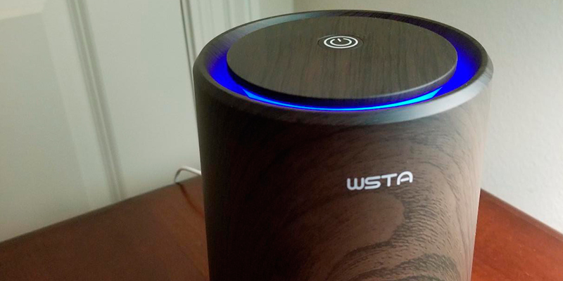Review of WSTA W050T Desktop Air Purifier, Ionizer, True HEPA