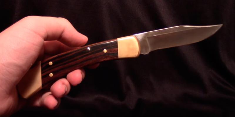 Detailed review of Buck Knives 110 Folding Hunter (0110BRS) Knife with Genuine Leather Sheath - Bestadvisor