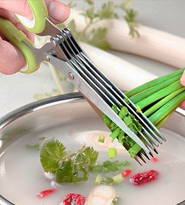 X-Chef Multipurpose Herb Scissors with Safety Cover and Cleaning Comb - Bestadvisor