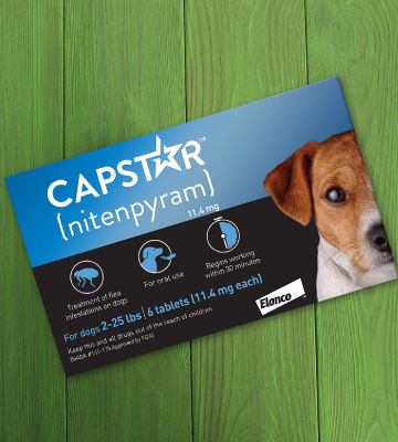 Capstar Fast-Acting Oral Flea Treatment for Small Dogs - Bestadvisor