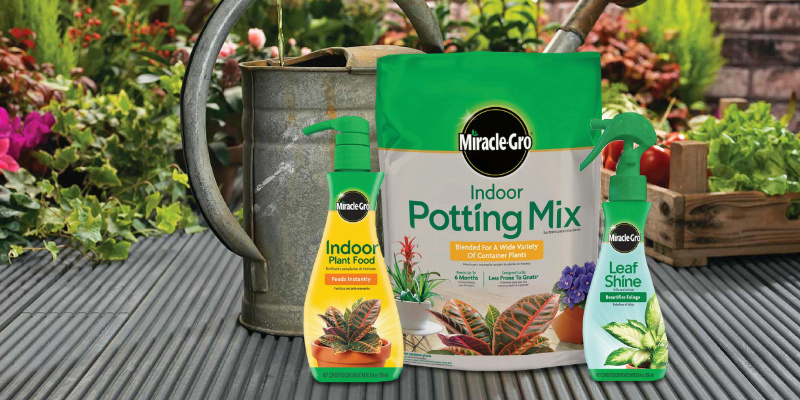 Review of Miracle-Gro Indoor Potting Mix Indoor Plant Food & Leaf Shine