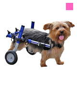 Walkin' Wheels Veterinarian Approved Dog Wheelchair