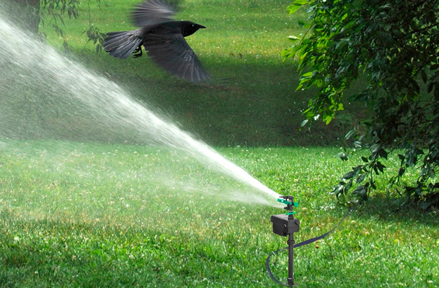 Comparison of Motion Activated Sprinklers