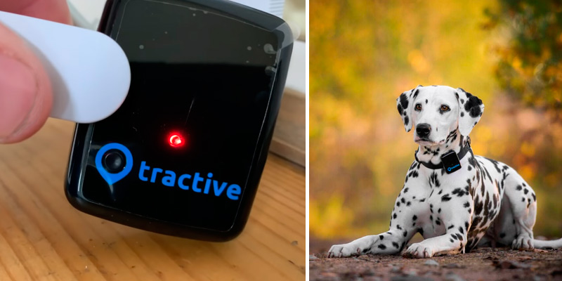 Review of Tractive 3G GPS Dog Tracker
