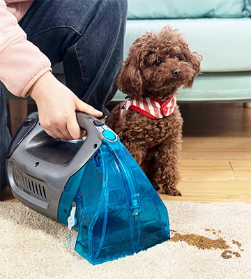 Hausmeister P005C Spot Cleaner, Pet Stain Eraser Carpet Cleaner - Bestadvisor