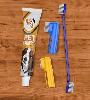 Ortz Dog Toothpaste and Toothbrush Set - Bestadvisor