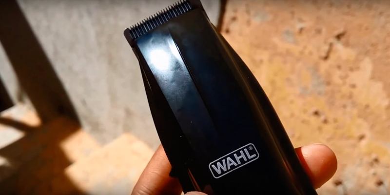 Wahl 5537-1801 Beard Trimmer with Bonus Personal Trimmer in the use - Bestadvisor