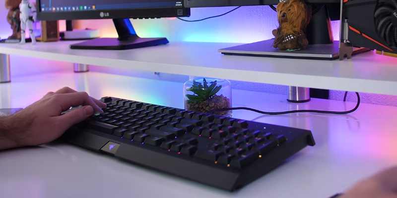 Razer Cynosa Chroma RGB Gaming Keyboard in the use - Bestadvisor