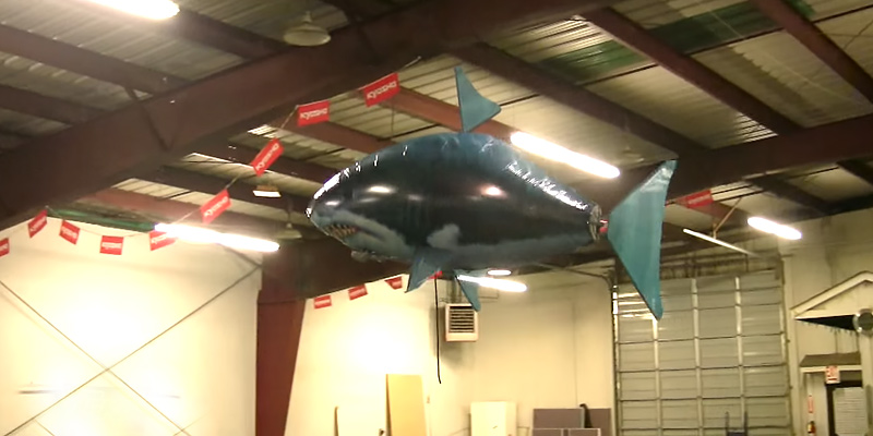 William Mark Air Swimmers RC Flying Shark in the use - Bestadvisor