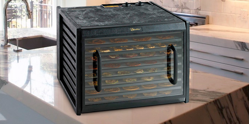 Review of Excalibur 3926TCDB Dehydrator with Clear Door and Timer