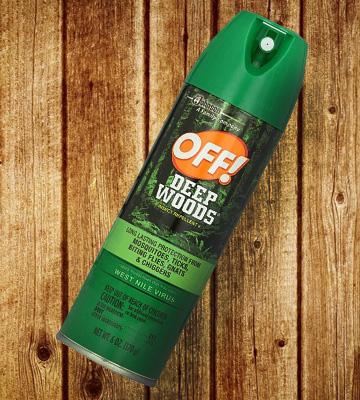 OFF Deep Woods Insect Repellent - Bestadvisor
