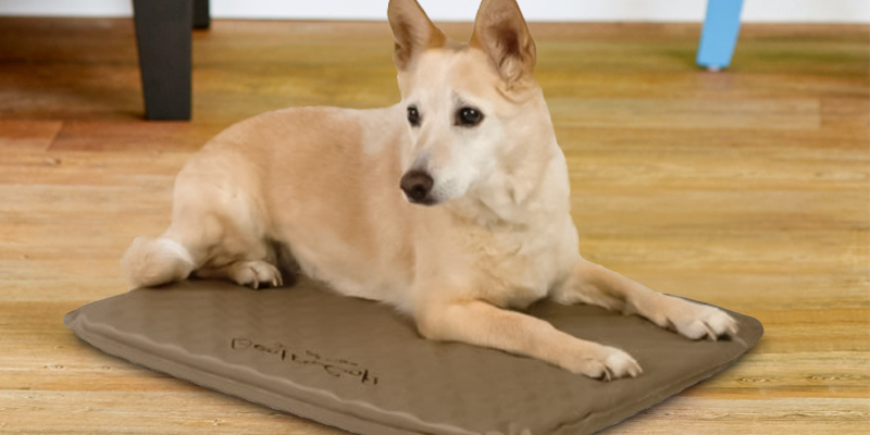 Review of K&H Pet Products KH1080 Outdoor Heated Dog Bed
