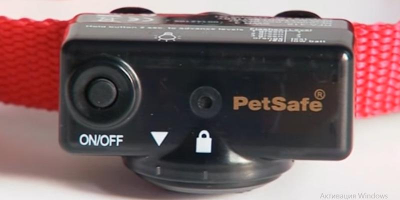 Detailed review of PetSafe PDBC-300 Deluxe - Bestadvisor