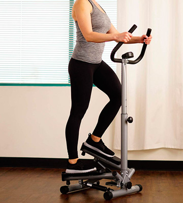 Sunny Health & Fitness Twister Stepper with Handle Bar - Bestadvisor