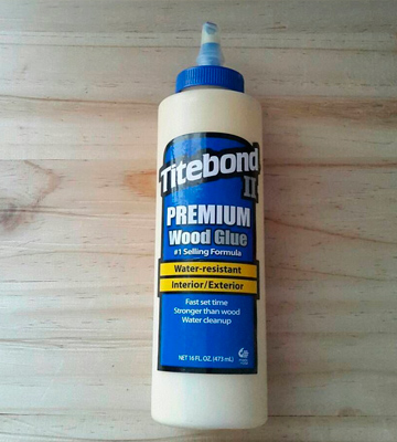 Titebond 5004 II Premium Wood Glue, 16 Ounce - Bestadvisor