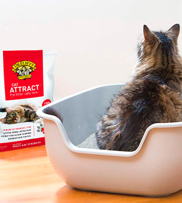 Dr. Elsey's Cat Attract Scoopable Cat Litter - Bestadvisor