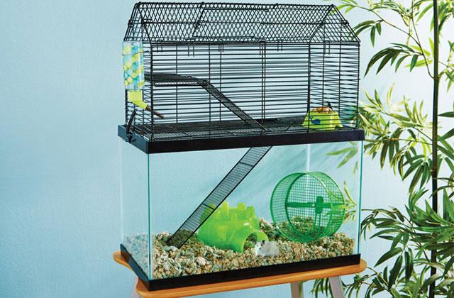 Best Hamster Cages, Houses and Habitats  