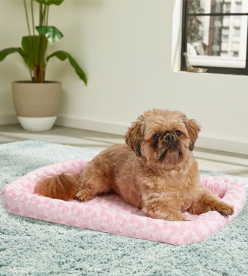 MidWest Homes for Pets Bolster Pet Bed - Bestadvisor