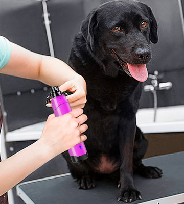 rokeye Dog Nail Grinder Pet Nail Grinder - Bestadvisor
