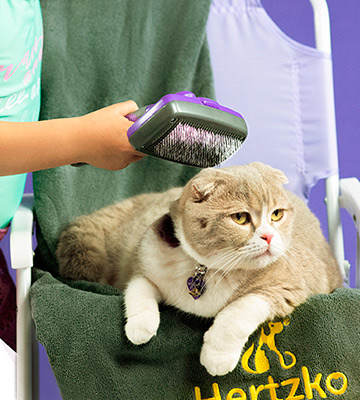 Hertzko All Sizes Hair Cats Grooming Brush - Bestadvisor