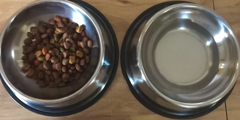 Detailed review of 4LoveDogs Stainless Steel Holds up to 32-ounce - Bestadvisor