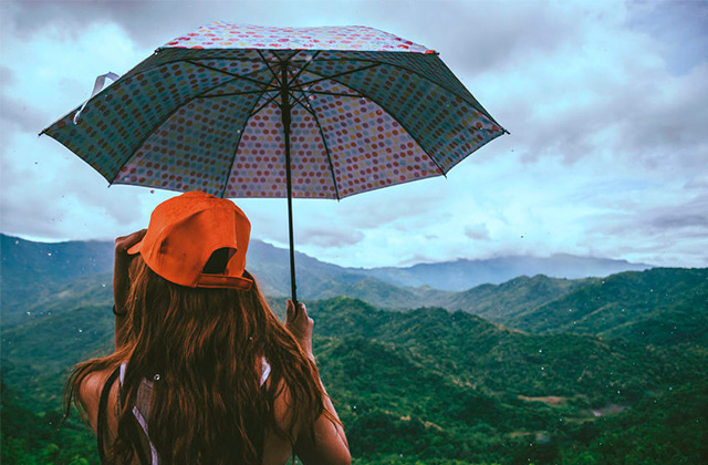 Best Travel Umbrellas  