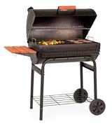 Char-Griller 2828 Pro Deluxe Charcoal Grill