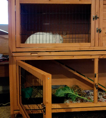 Good Life USA Hutch Rabbit Cage Two Floors Wooden Outdoor Indoor Bunny - Bestadvisor