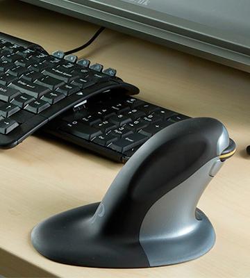 Posturite 9820100 Penguin Ambidextrous Vertical Mouse Wired Medium - Bestadvisor