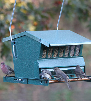 Review of Heritage Farms 7533 Woodlink Absolute Squirrel Resistant Bird Feeder