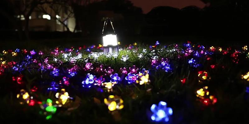 Qedertek Solar Flower Garden Lights for Outdoor in the use - Bestadvisor